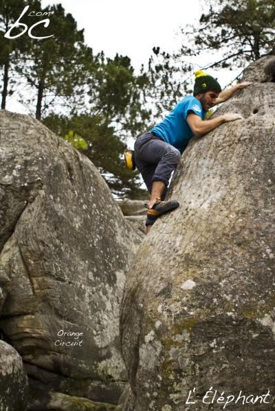 "Orange Circuit" (10)